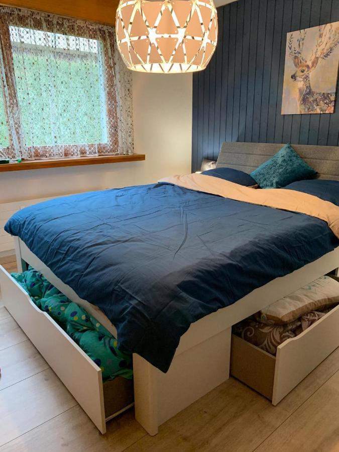Roc D'Orsay E48 Apartment Leysin Bagian luar foto